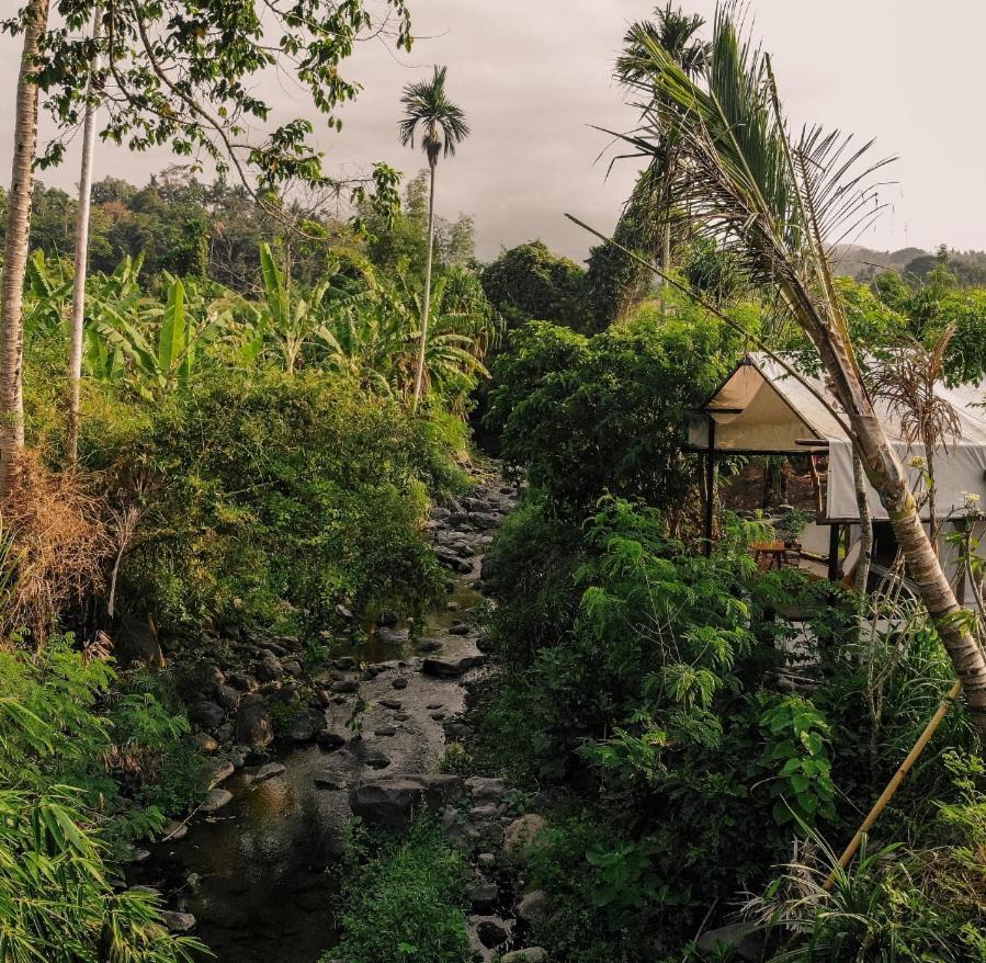 Camani Glamping Hotell Karangasem Eksteriør bilde