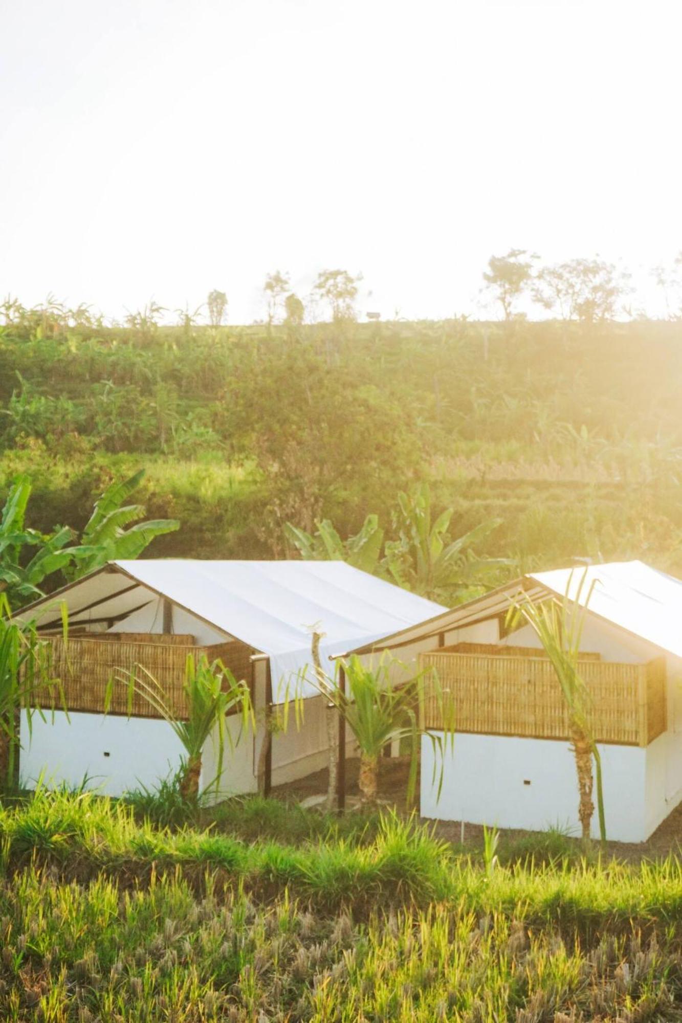Camani Glamping Hotell Karangasem Eksteriør bilde