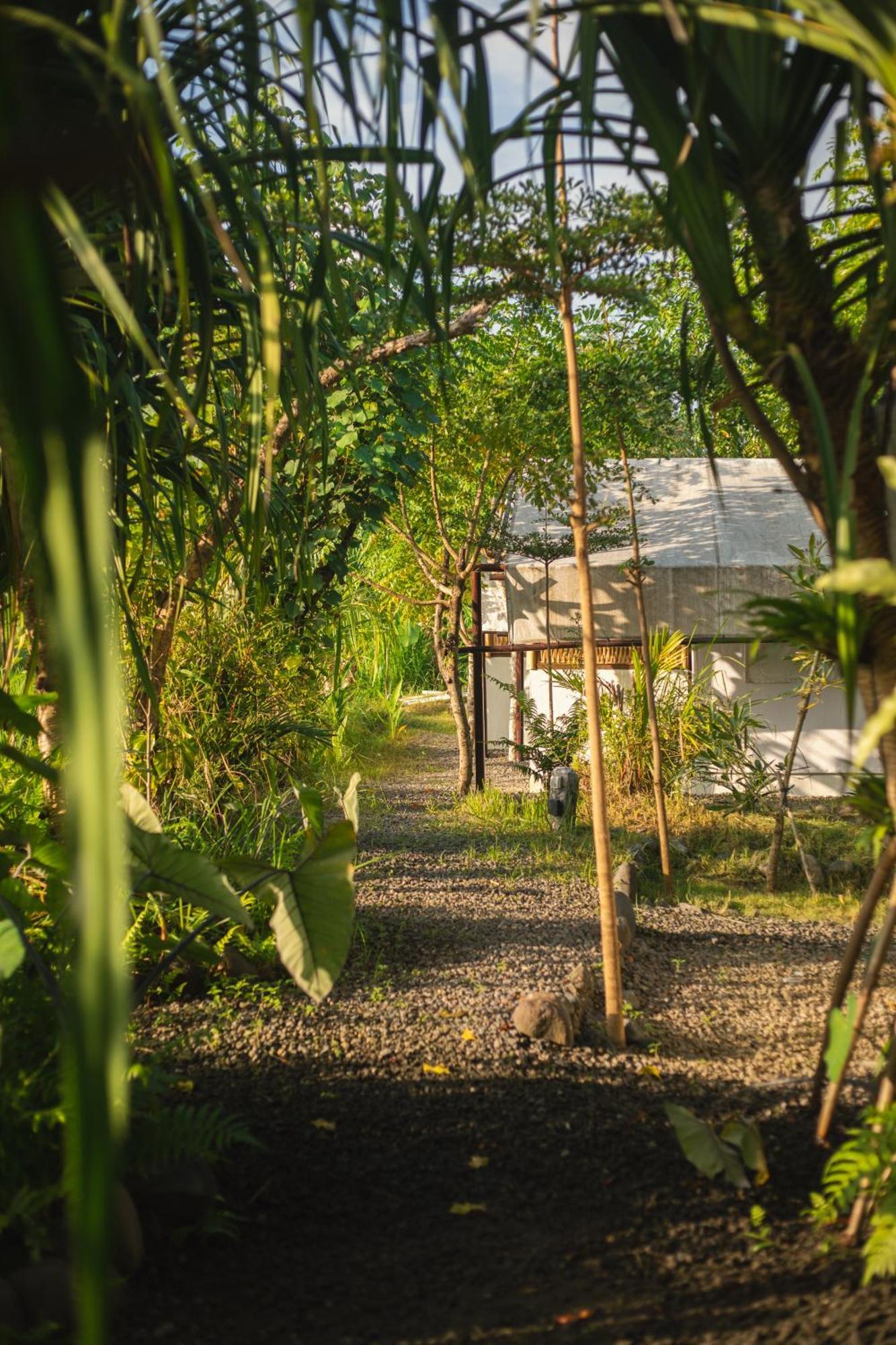 Camani Glamping Hotell Karangasem Eksteriør bilde