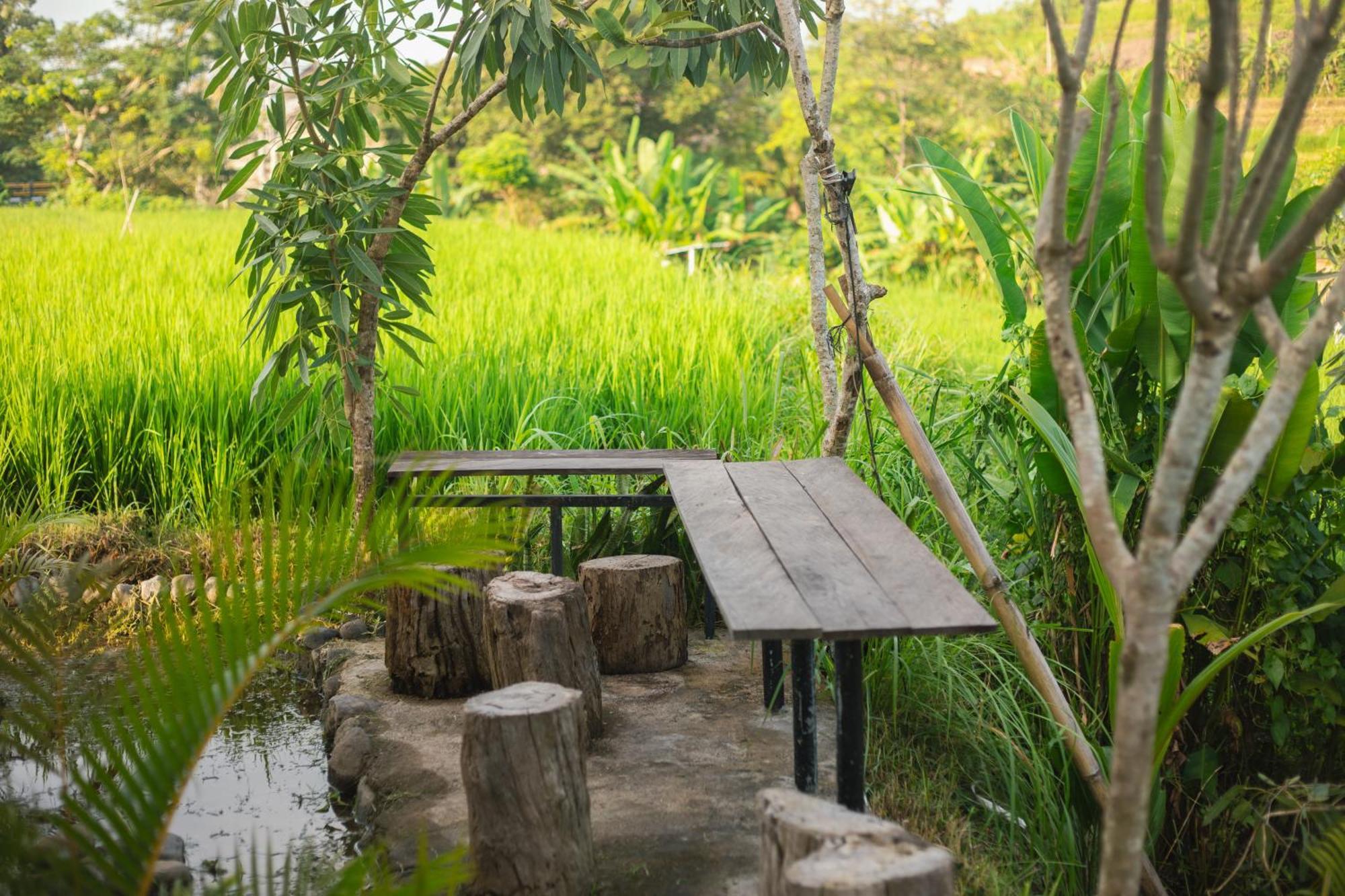 Camani Glamping Hotell Karangasem Eksteriør bilde