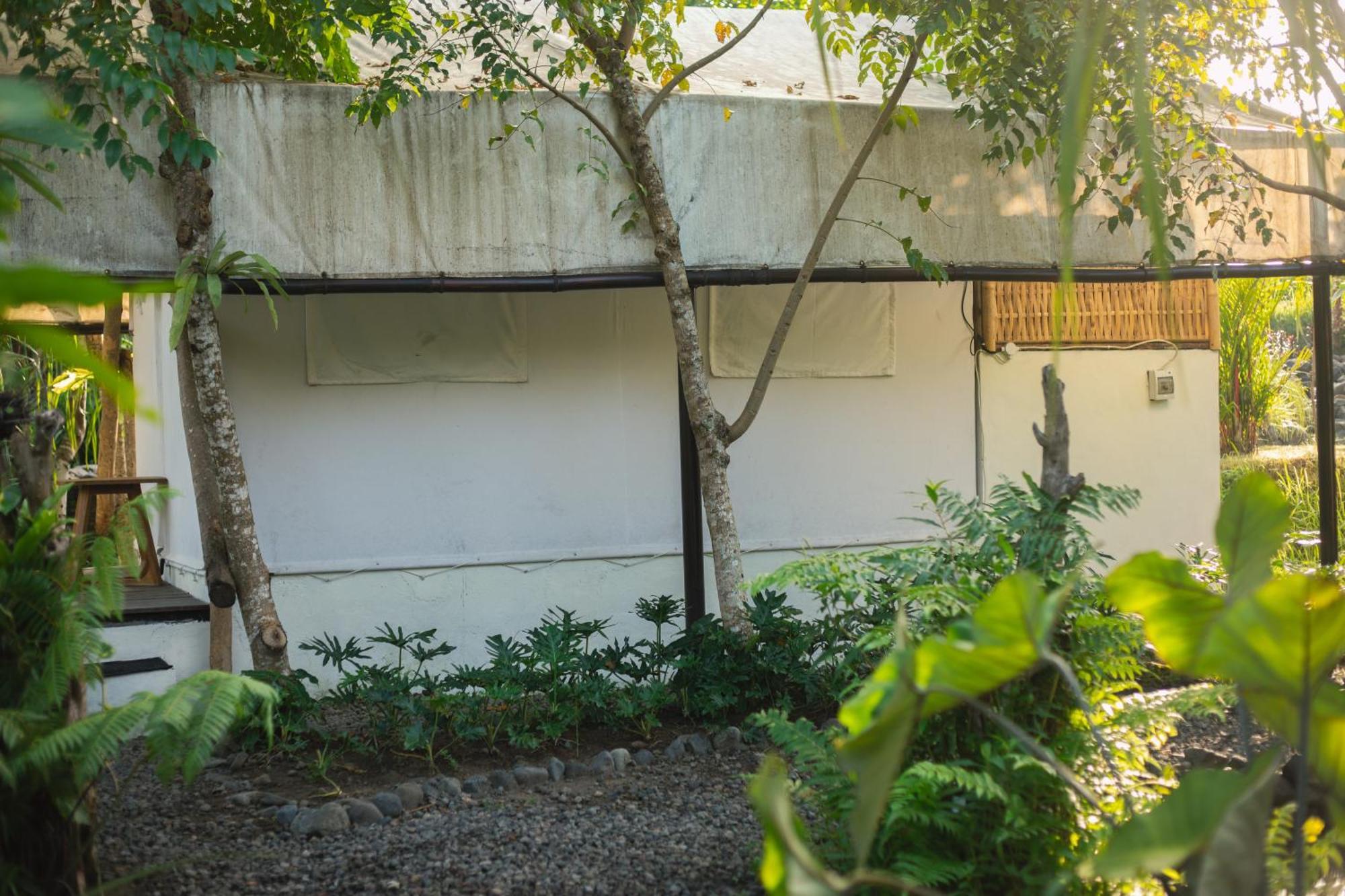 Camani Glamping Hotell Karangasem Rom bilde